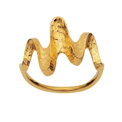 Maanesten Bay Ring Ring Gull