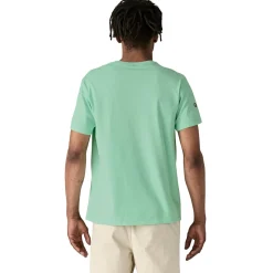 Patagonia Fitz Roy Icon Responsibili-Tee T-shirt Lysegrønn